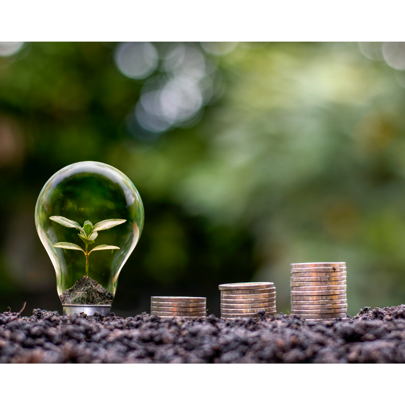 Energia. Le iniziative del Comune di Milano per ridurre i consumi energetici